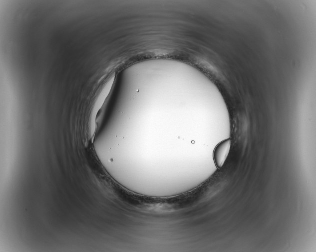 X0000086280212200704262043