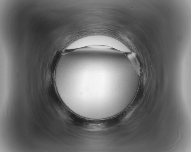 X0000086280213200704262043