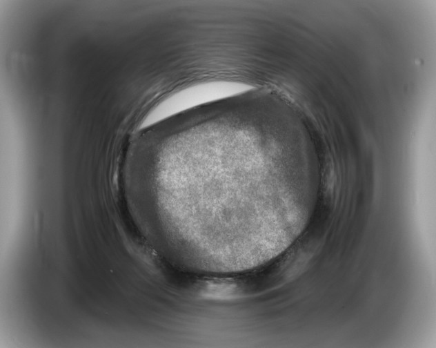 X0000086280214200704262043
