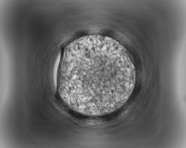 X0000086280215200704262043