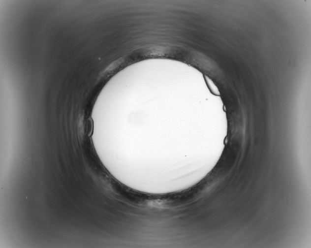 X0000086280216200704262043