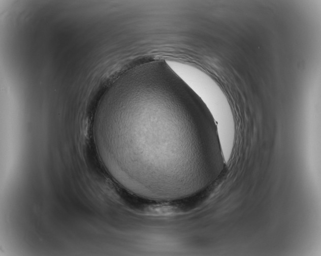 X0000086280219200704262043