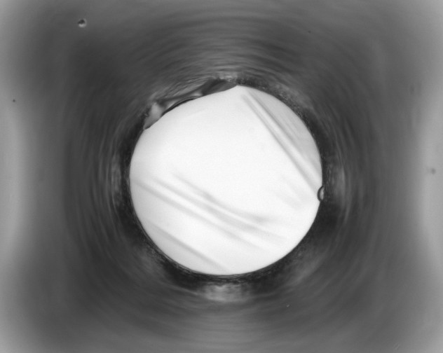 X0000086280220200704262042