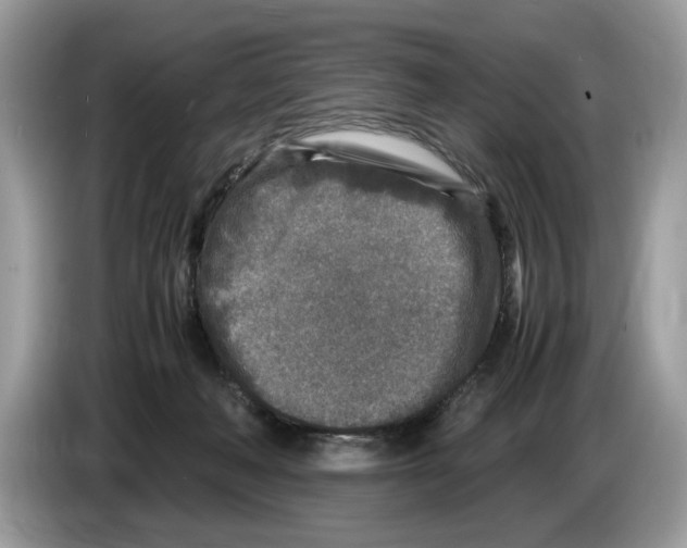 X0000086280222200704262042