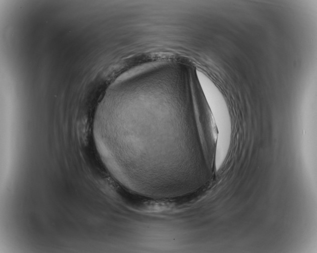 X0000086280223200704262042