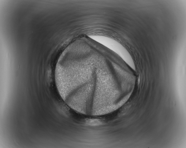 X0000086280224200704262042