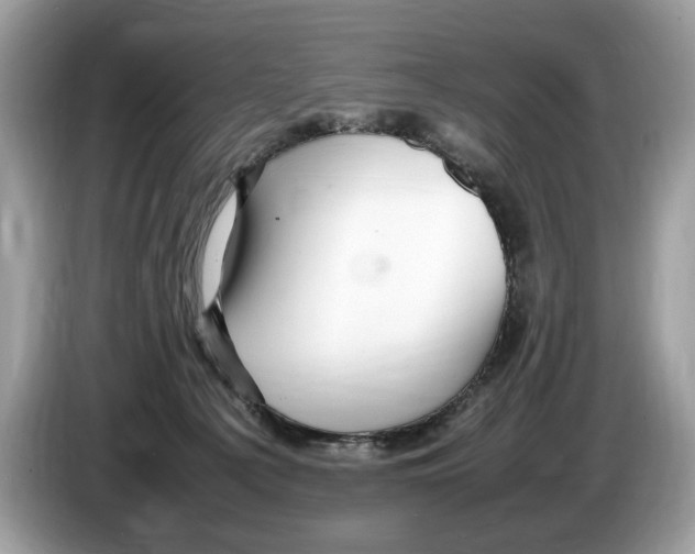X0000086280225200704262042
