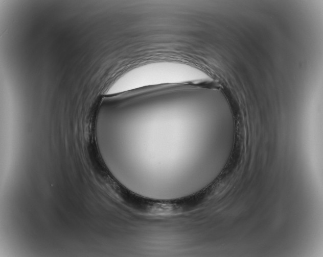 X0000086280227200704262042
