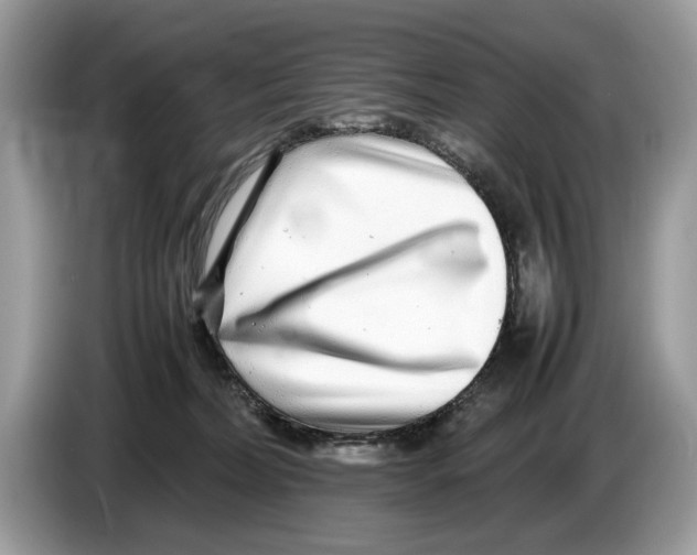 X0000086280228200704262042