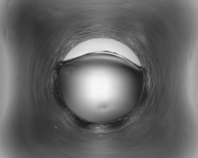 X0000086280229200704262042