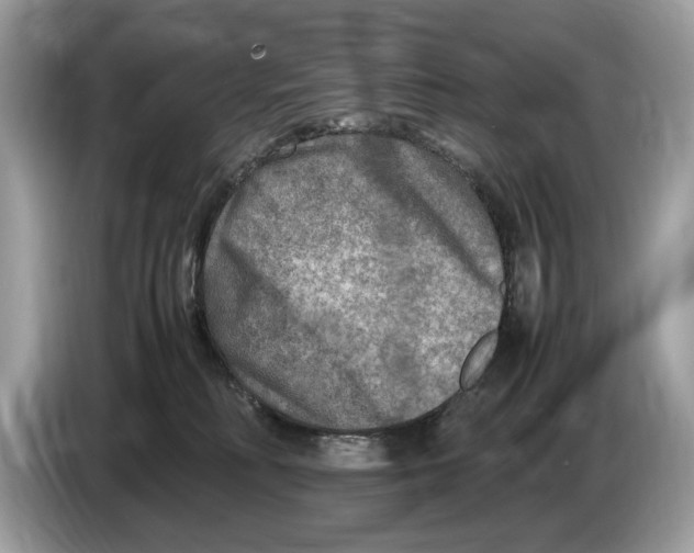 X0000086280230200704262042