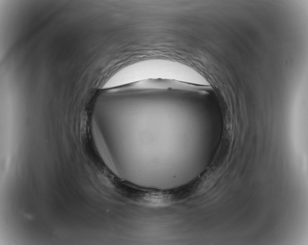 X0000086280231200704262042
