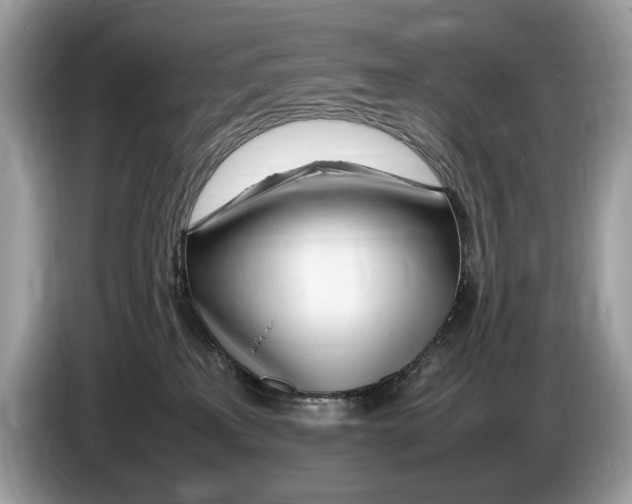 X0000086280233200704262042