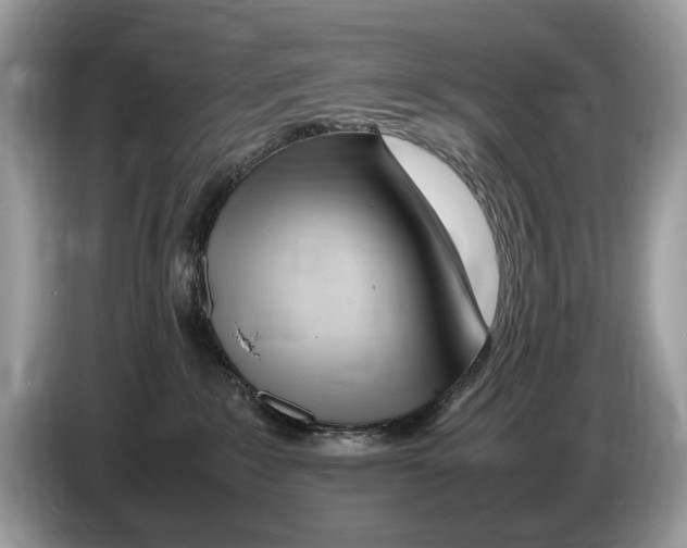 X0000086280235200704262042