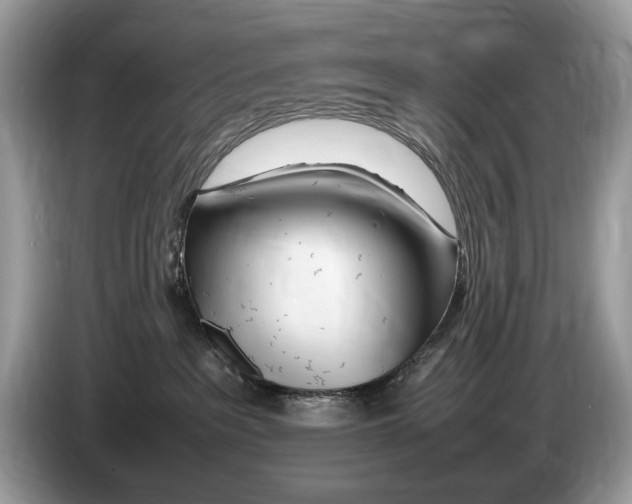 X0000086280237200704262042
