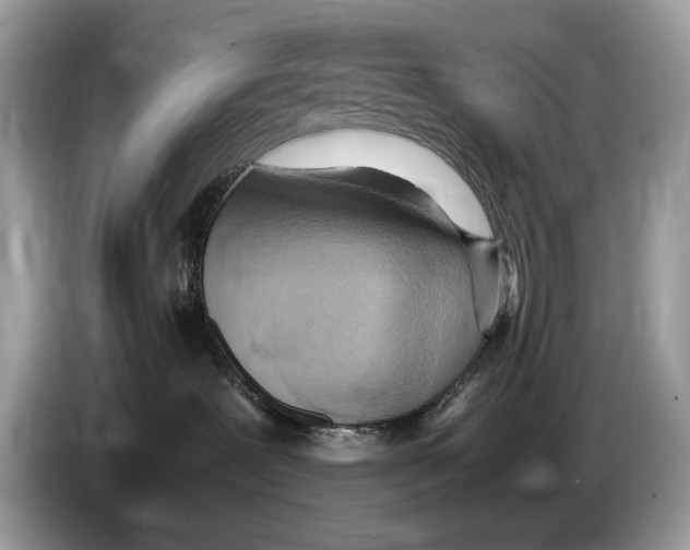X0000086280239200704262042