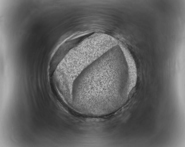 X0000086280242200704262042