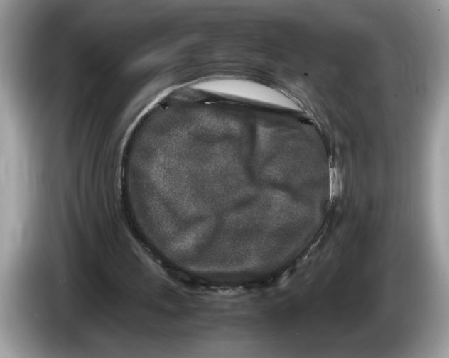 X0000086280243200704262042