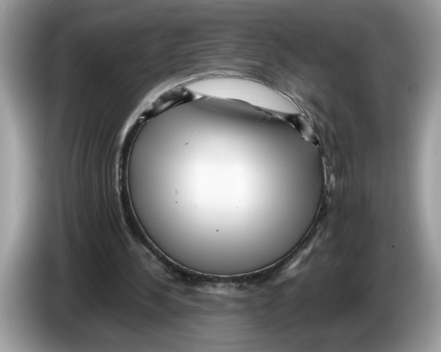 X0000086280244200704262042
