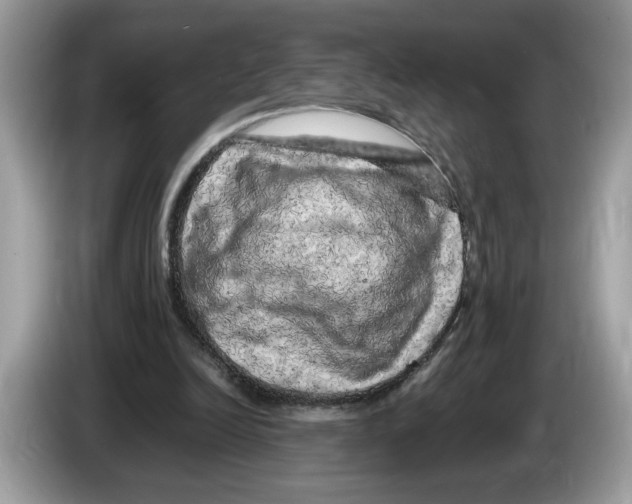 X0000086280246200704262042
