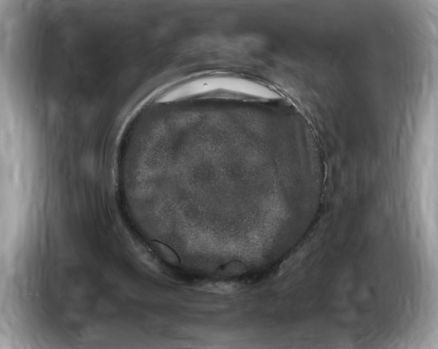 X0000086280247200704262042