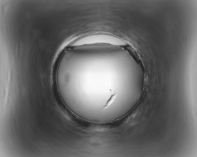 X0000086280248200704262042