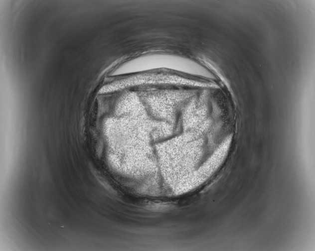 X0000086280249200704262042