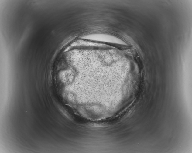 X0000086280250200704262042