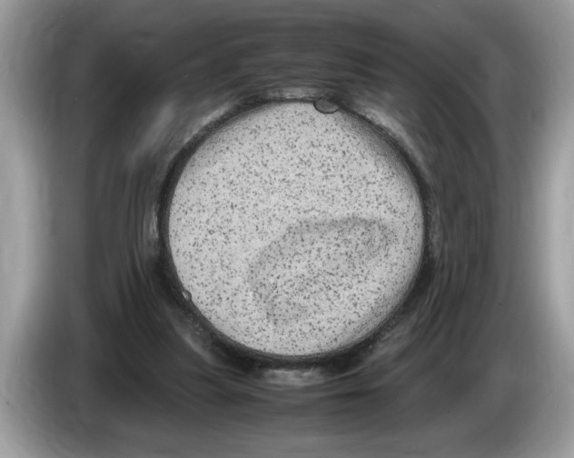 X0000086280251200704262042