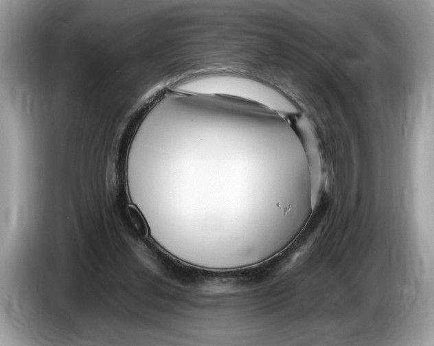 X0000086280252200704262042