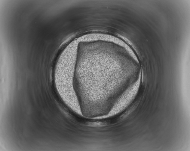 X0000086280253200704262042