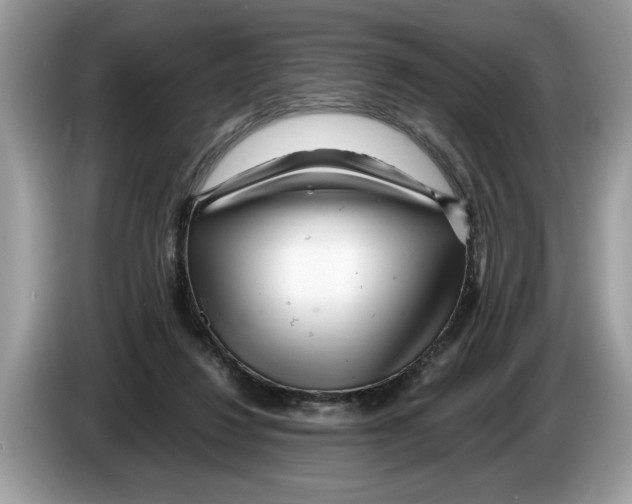 X0000086280260200704262042