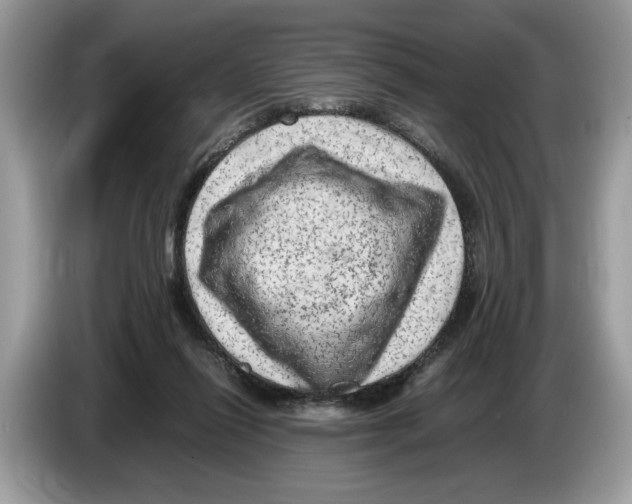 X0000086280262200704262042
