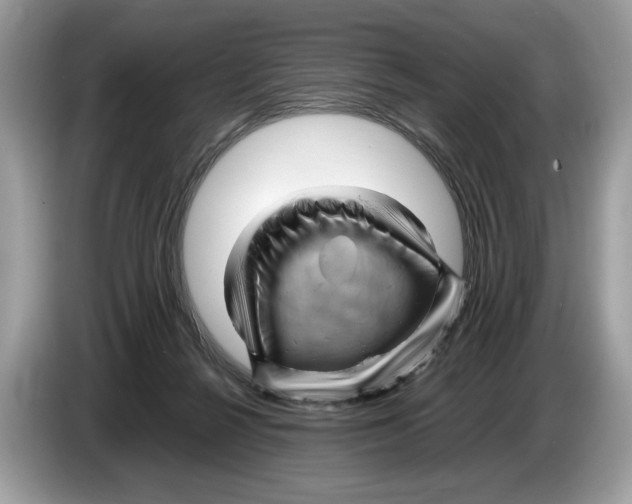 X0000086280264200704262042