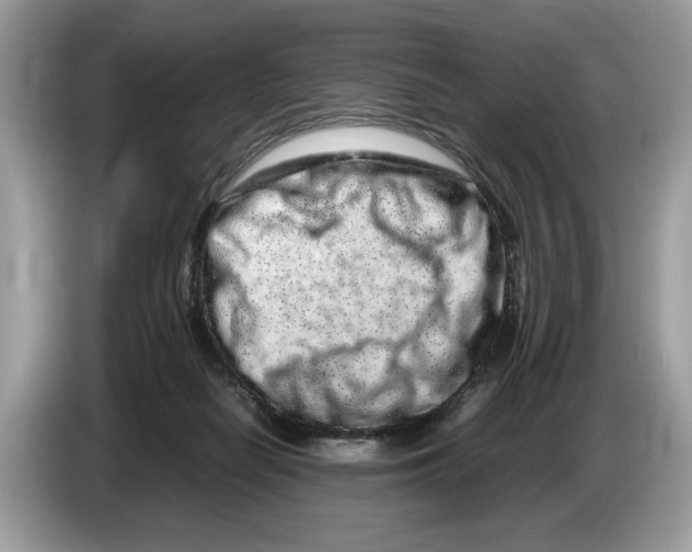 X0000086280266200704262042