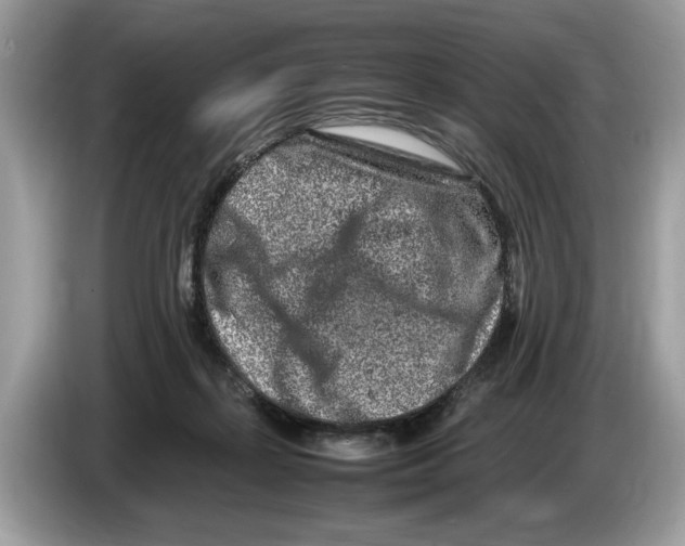 X0000086280267200704262042