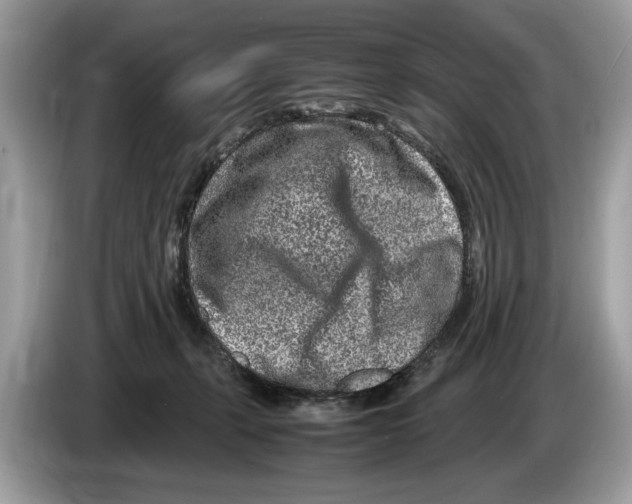 X0000086280271200704262042