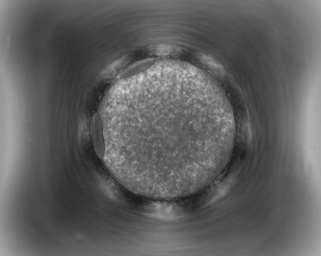 X0000086280272200704262042
