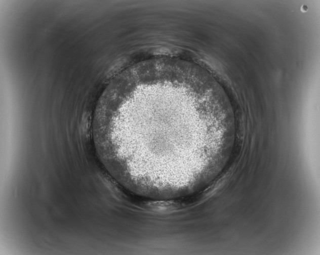 X0000086280273200704262042