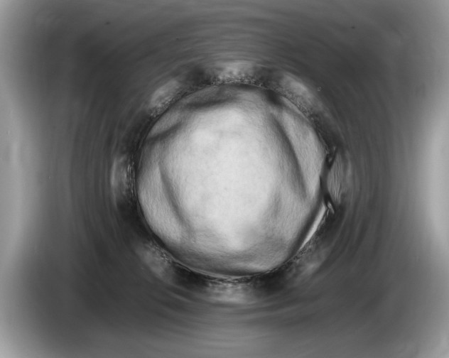 X0000086280276200704262042