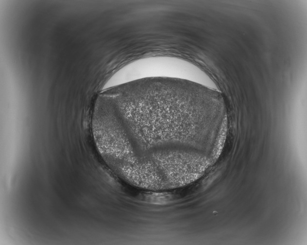 X0000086280277200704262042