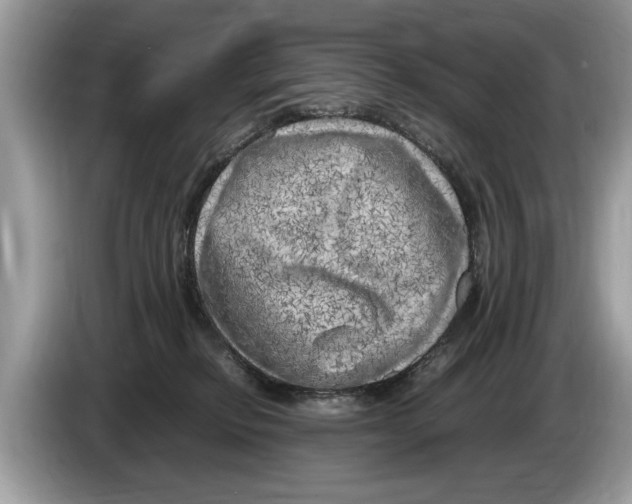 X0000086280278200704262042
