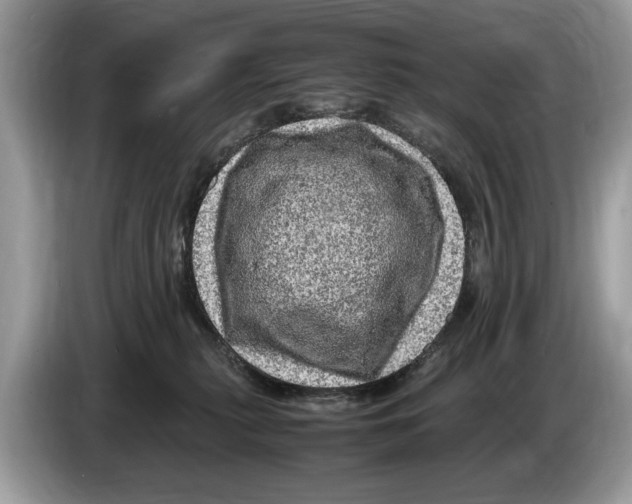X0000086280279200704262042