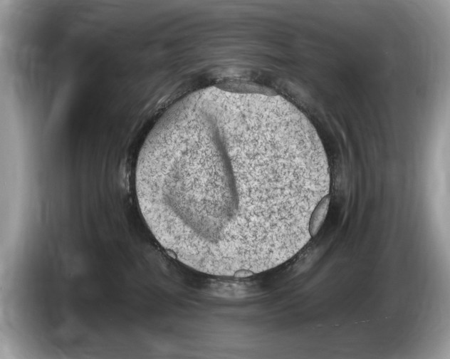 X0000086280282200704262042