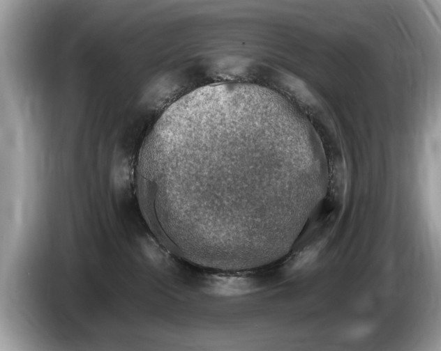 X0000086280284200704262042