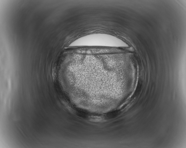 X0000086280285200704262042