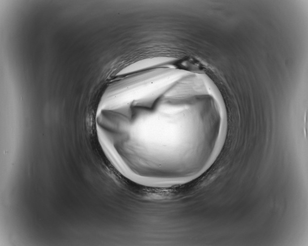 X0000086280288200704262042