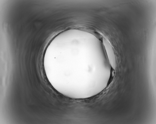 X0000086280289200704262042