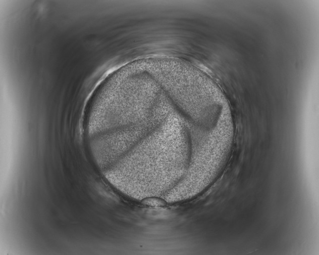 X0000086280290200704262042