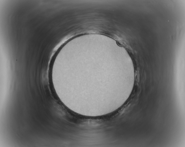 X0000086280292200704262042